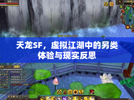 天龙SF，虚拟江湖中的另类体验与现实反思
