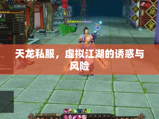 天龙私服，虚拟江湖的诱惑与风险