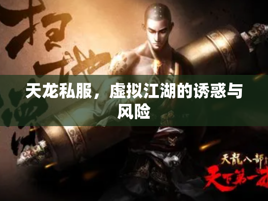 天龙私服，虚拟江湖的诱惑与风险