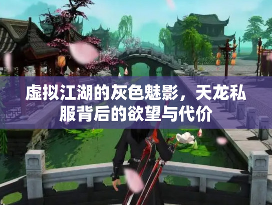 虚拟江湖的灰色魅影，天龙私服背后的欲望与代价