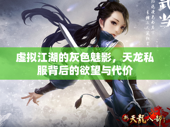虚拟江湖的灰色魅影，天龙私服背后的欲望与代价