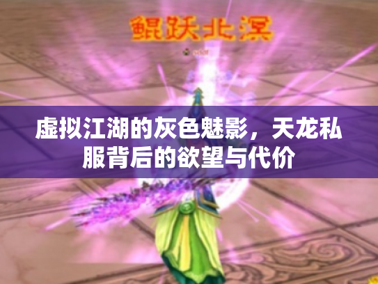 虚拟江湖的灰色魅影，天龙私服背后的欲望与代价