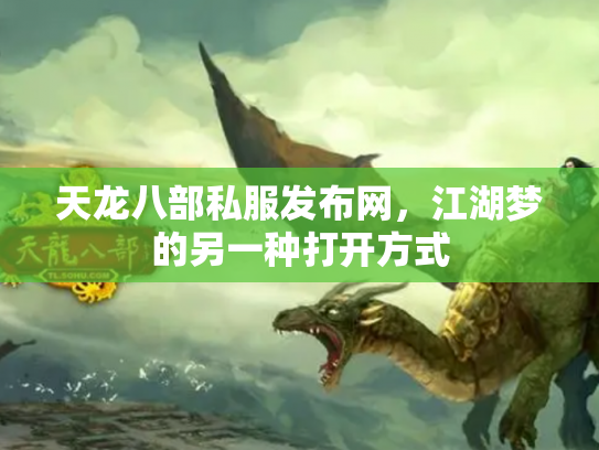 天龙八部私服发布网，江湖梦的另一种打开方式