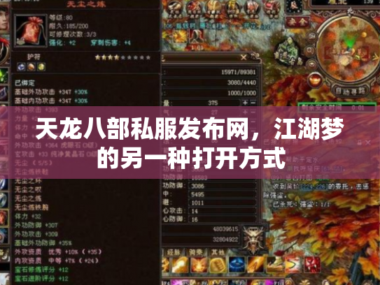天龙八部私服发布网，江湖梦的另一种打开方式