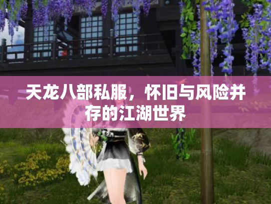 天龙八部私服，怀旧与风险并存的江湖世界