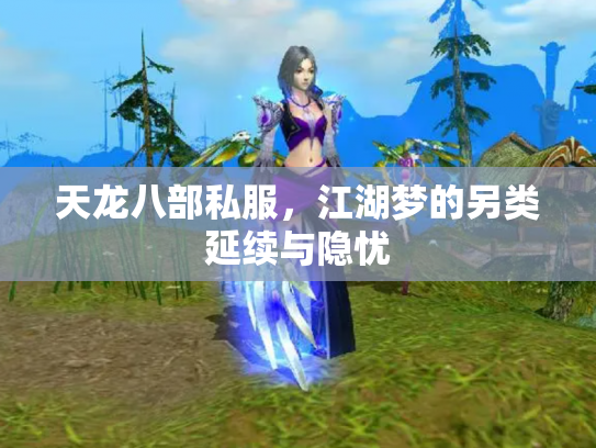 天龙八部私服，江湖梦的另类延续与隐忧