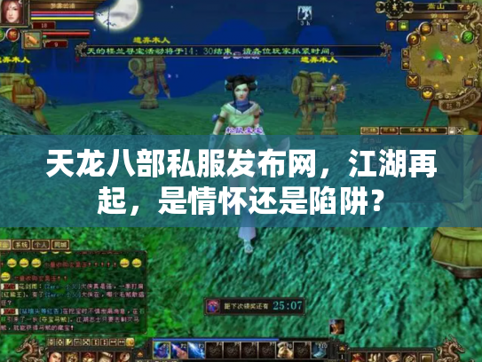 天龙八部私服发布网，江湖再起，是情怀还是陷阱？