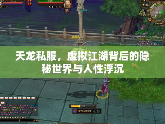天龙私服，虚拟江湖背后的隐秘世界与人性浮沉