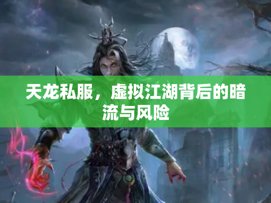 天龙私服，虚拟江湖背后的暗流与风险
