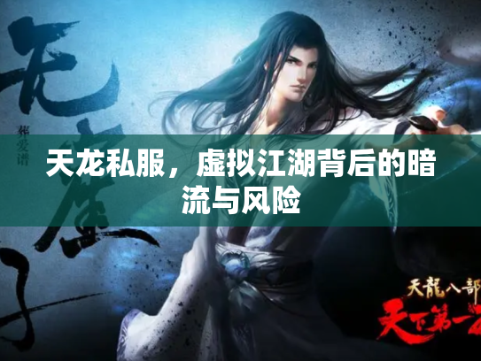 天龙私服，虚拟江湖背后的暗流与风险