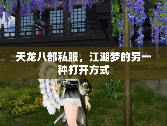 天龙八部私服，江湖梦的另一种打开方式