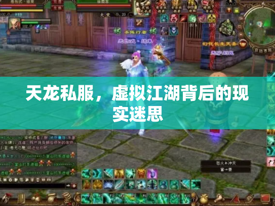 天龙私服，虚拟江湖背后的现实迷思