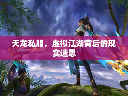 天龙私服，虚拟江湖背后的现实迷思