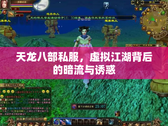天龙八部私服，虚拟江湖背后的暗流与诱惑