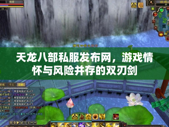 天龙八部私服发布网，游戏情怀与风险并存的双刃剑