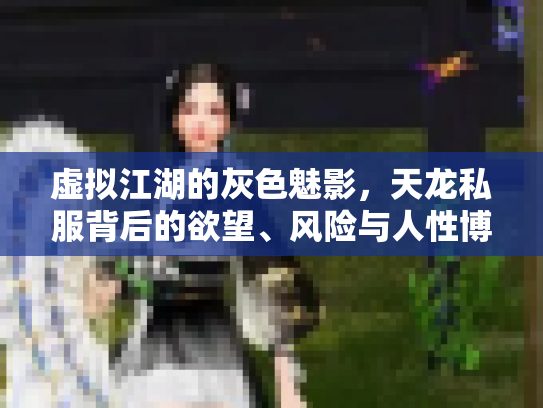 虚拟江湖的灰色魅影，天龙私服背后的欲望、风险与人性博弈