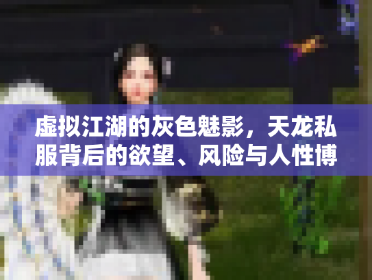 虚拟江湖的灰色魅影，天龙私服背后的欲望、风险与人性博弈