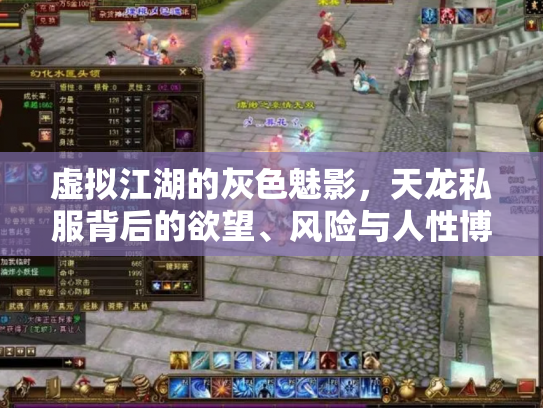 虚拟江湖的灰色魅影，天龙私服背后的欲望、风险与人性博弈