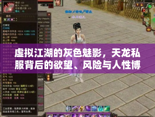 虚拟江湖的灰色魅影，天龙私服背后的欲望、风险与人性博弈