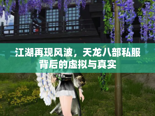 江湖再现风波，天龙八部私服背后的虚拟与真实
