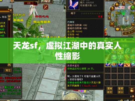 天龙sf，虚拟江湖中的真实人性缩影