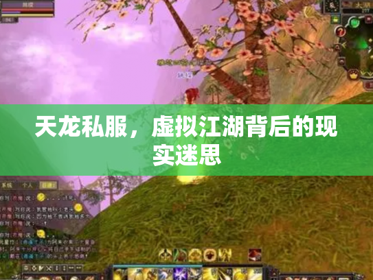 天龙私服，虚拟江湖背后的现实迷思