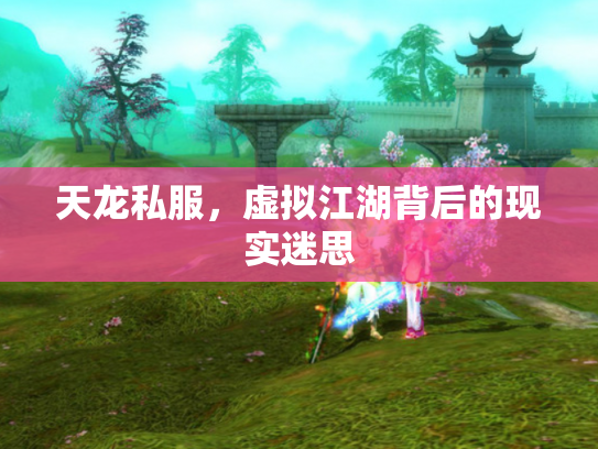 天龙私服，虚拟江湖背后的现实迷思