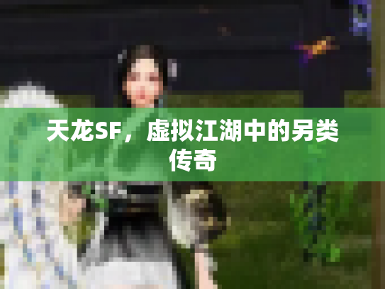 天龙SF，虚拟江湖中的另类传奇