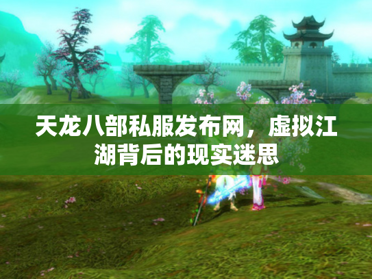 天龙八部私服发布网，虚拟江湖背后的现实迷思