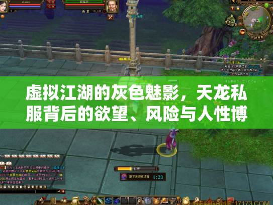 虚拟江湖的灰色魅影，天龙私服背后的欲望、风险与人性博弈