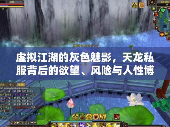 虚拟江湖的灰色魅影，天龙私服背后的欲望、风险与人性博弈
