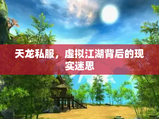 天龙私服，虚拟江湖背后的现实迷思