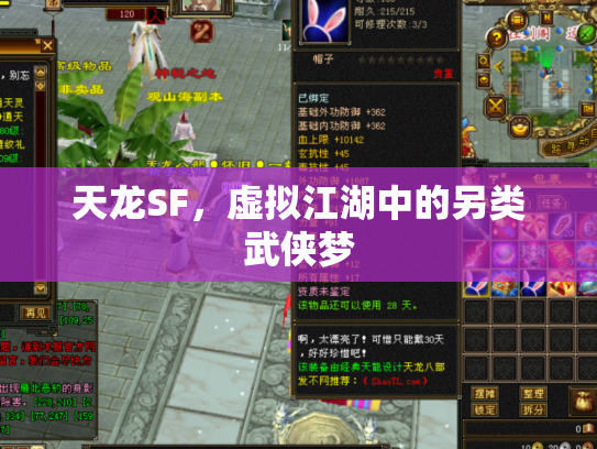 天龙SF，虚拟江湖中的另类武侠梦