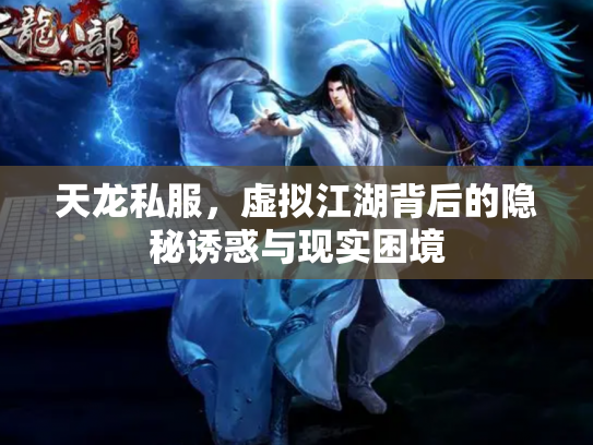 天龙私服，虚拟江湖背后的隐秘诱惑与现实困境