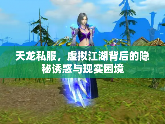 天龙私服，虚拟江湖背后的隐秘诱惑与现实困境