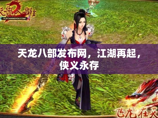 天龙八部发布网，江湖再起，侠义永存