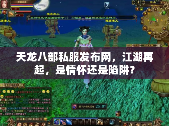 天龙八部私服发布网，江湖再起，是情怀还是陷阱？