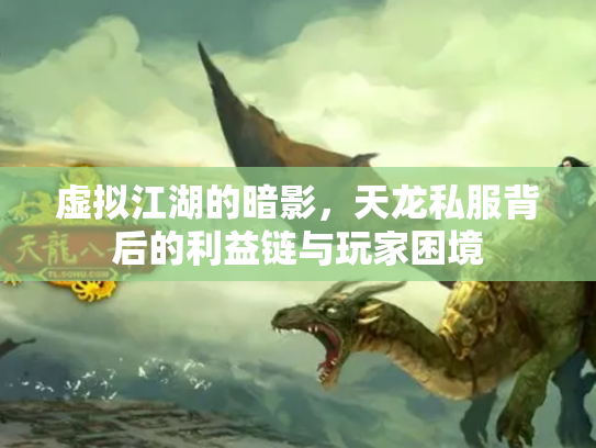 虚拟江湖的暗影，天龙私服背后的利益链与玩家困境