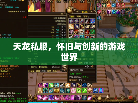 天龙私服，怀旧与创新的游戏世界