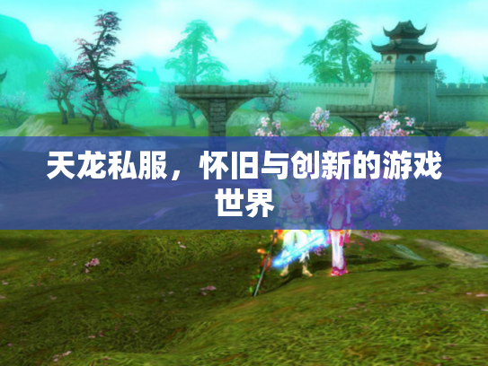 天龙私服，怀旧与创新的游戏世界