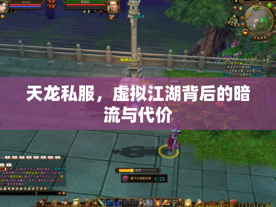 天龙私服，虚拟江湖背后的暗流与代价