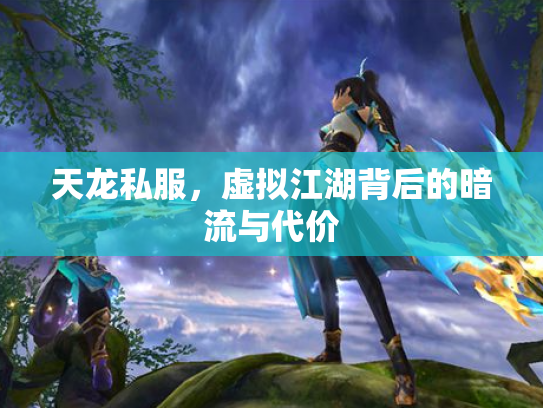 天龙私服，虚拟江湖背后的暗流与代价