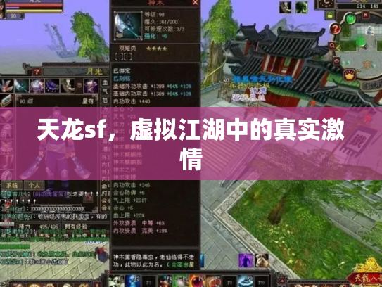 天龙sf，虚拟江湖中的真实激情