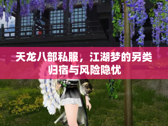 天龙八部私服，江湖梦的另类归宿与风险隐忧