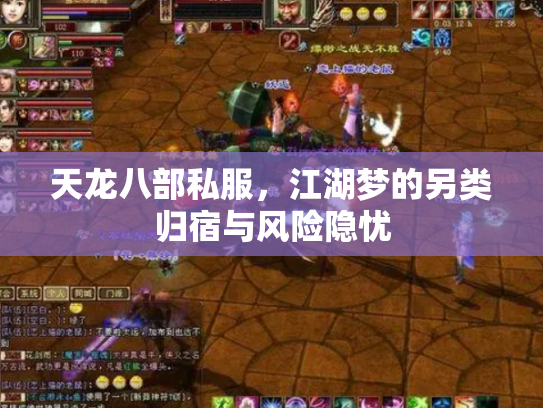 天龙八部私服，江湖梦的另类归宿与风险隐忧