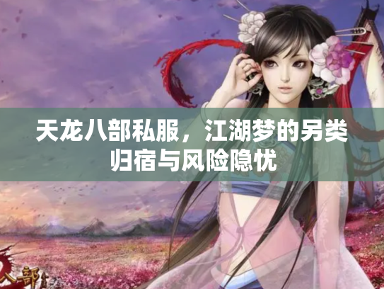 天龙八部私服，江湖梦的另类归宿与风险隐忧