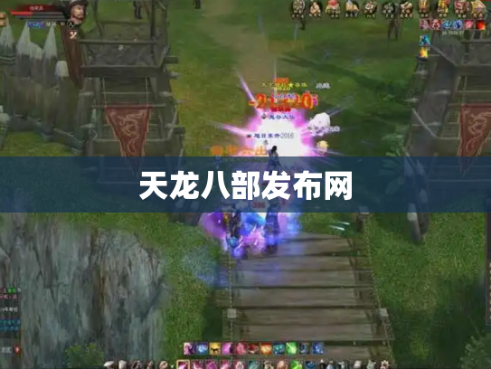天龙八部发布网