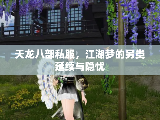 天龙八部私服，江湖梦的另类延续与隐忧