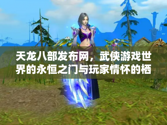 天龙八部发布网，武侠游戏世界的永恒之门与玩家情怀的栖息地