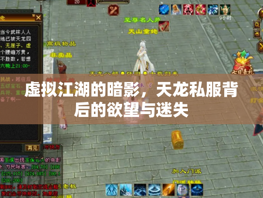 虚拟江湖的暗影，天龙私服背后的欲望与迷失